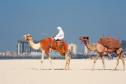 Тур Объединённые Арабские Эмираты (экскурсионный тур) -  Фото 9