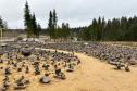 Тур ЖД тур на выходные: Место силы Карелии – Долина водопадов -  Фото 1