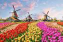 Тур Цветочные горизонты: Франция и Голландия ( парк цветов Кекенхоф) С визовой поддержкой -  Фото 8