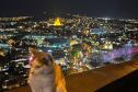 Тур Экскурсионный авиатур "Грузинские каникулы" -  Фото 7