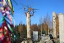 Тур ЖД тур на выходные: Место силы Карелии – Долина водопадов -  Фото 24