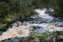 Тур ЖД тур на выходные: Место силы Карелии – Долина водопадов -  Фото 7