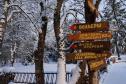 Тур Рождественская классика: Минск, Замки, Брест -  Фото 1