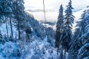 Тур Рождественский Тироль и 3 дня в Доломитовых Альпах -  Фото 2